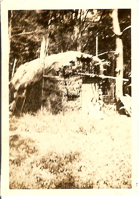 LogCabin